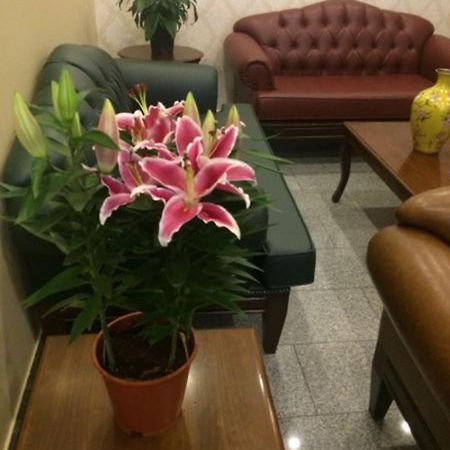 Uenver Hotel Adana Ngoại thất bức ảnh